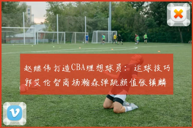 赵继伟打造CBA理想球员：运球技巧郭艾伦智商杨瀚森弹跳颜值张镇麟完美结合