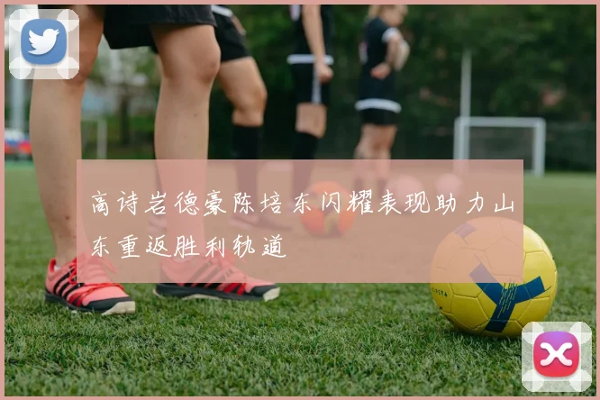 高诗岩德豪陈培东闪耀表现助力山东重返胜利轨道