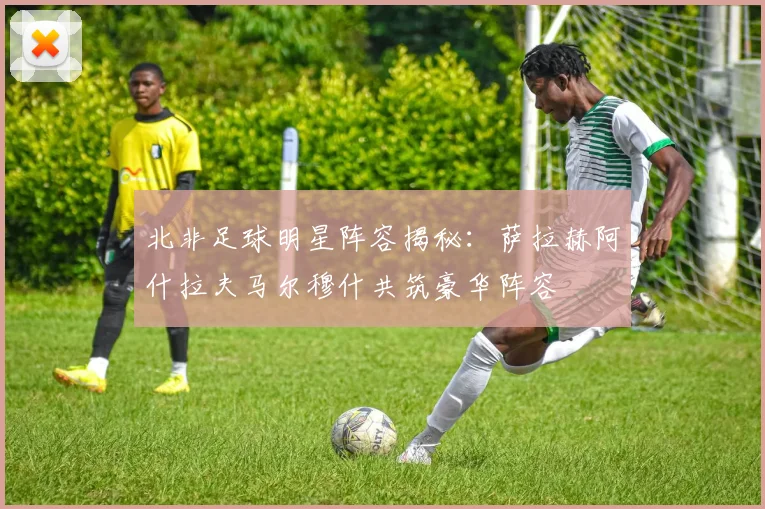北非足球明星阵容揭秘：萨拉赫阿什拉夫马尔穆什共筑豪华阵容