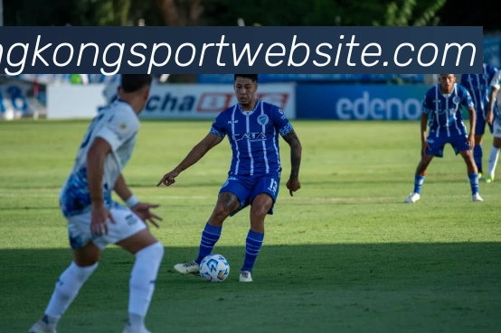 星空体育平台生态图